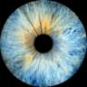 YourMajestyTheEye