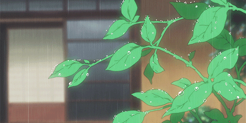 🌴 The Valley 🌴 banner